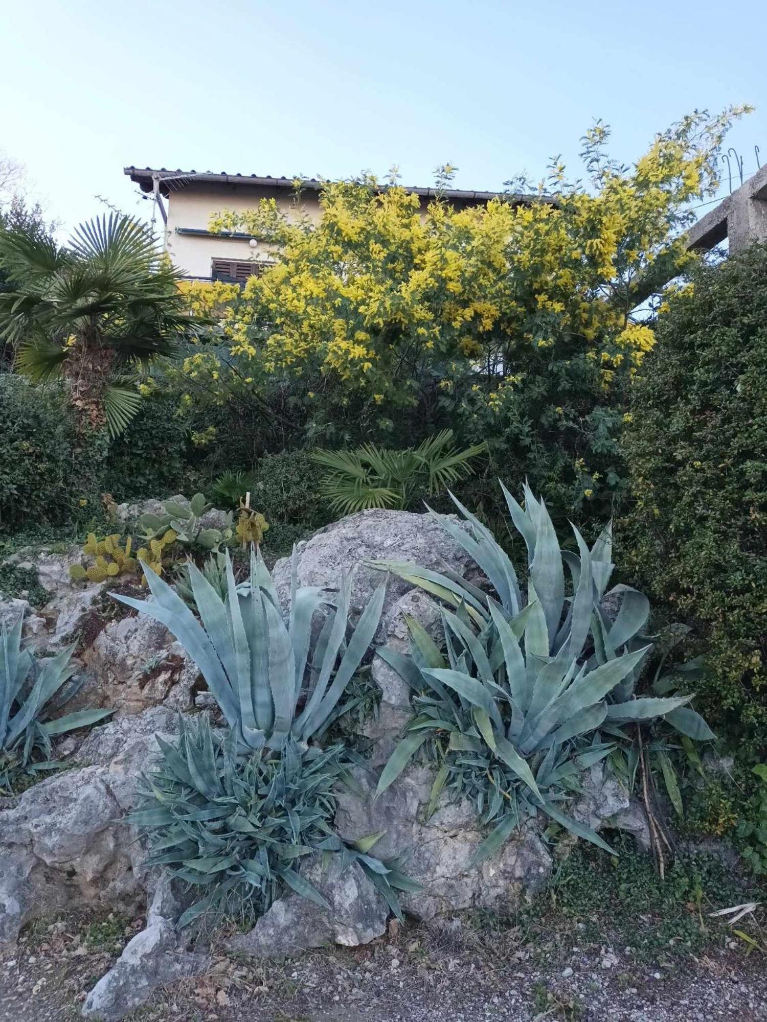 Apartment Relax 오파티아 외부 사진